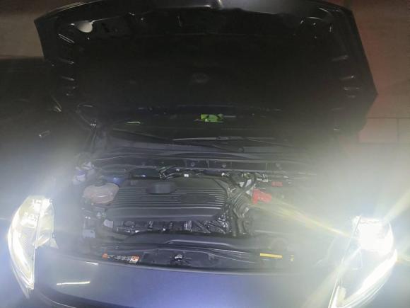 [南昌·赣A] 二手福特锐际2020款 EcoBoost 245 两驱聪慧嘉享款