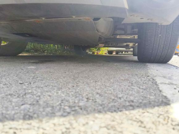 [温州·浙C] 二手野马汽车博骏2019款 性能版 1.5T CVT领动型