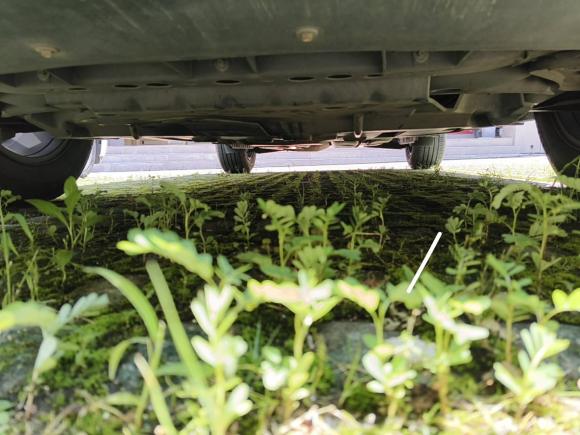 [南昌·赣A] 二手凯迪拉克凯迪拉克XT52020款 28T 四驱豪华型