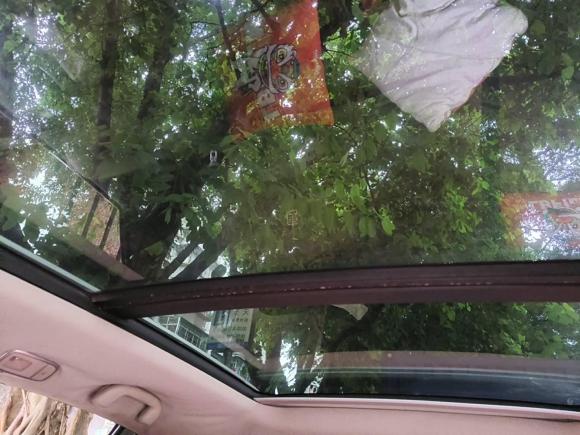 [深圳·粤B] 二手比亚迪唐新能源2015款 2.0T 四驱旗舰型