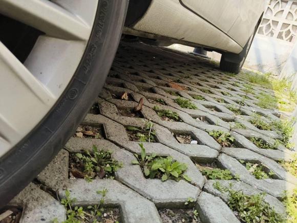 [南京·苏A] 二手大众捷达2015款 1.6L 自动舒适型