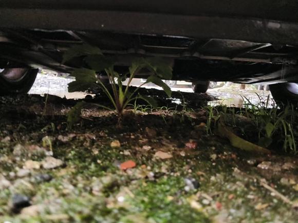 [南京·苏A] 二手别克英朗2012款 GT 1.6L 自动时尚版