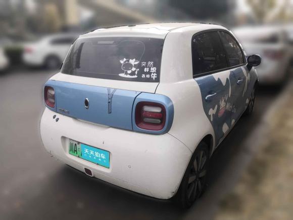 [成都·川A] 二手欧拉欧拉黑猫2019款 351km 亲子版