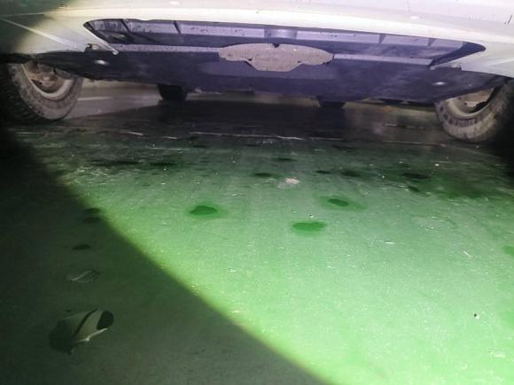 [南通·苏F] 二手马自达马自达62013款 2.0L 自动时尚型