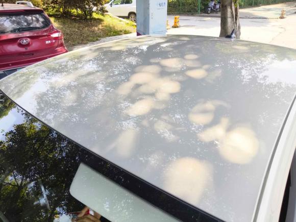 [温州·浙C] 二手大众朗逸2021款 1.5L 自动风尚版