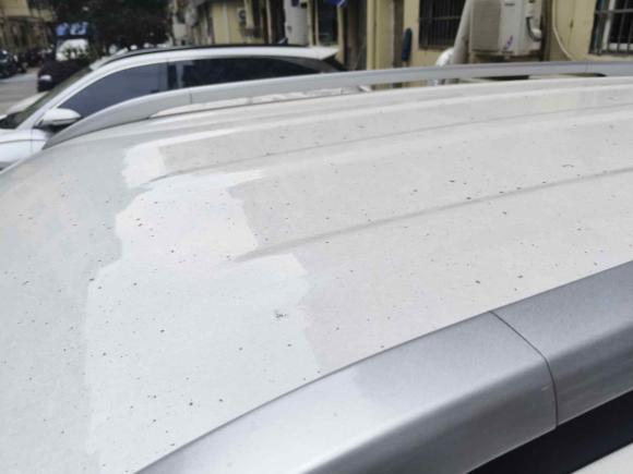 [温州·浙C] 二手起亚智跑2018款 2.0L 手动时尚版 国V