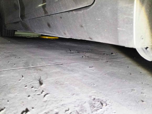 [上海·沪K] 二手宝马宝马7系2009款 740Li领先型