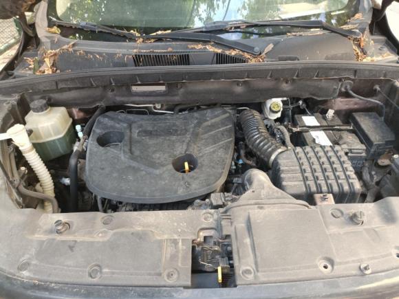 [济南·鲁A] 二手比速汽车比速T52017款 1.5T 手动豪华型