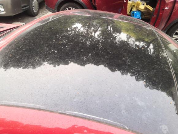 [上海·辽B] 二手奔驰奔驰SLK级2011款 SLK 200 时尚型