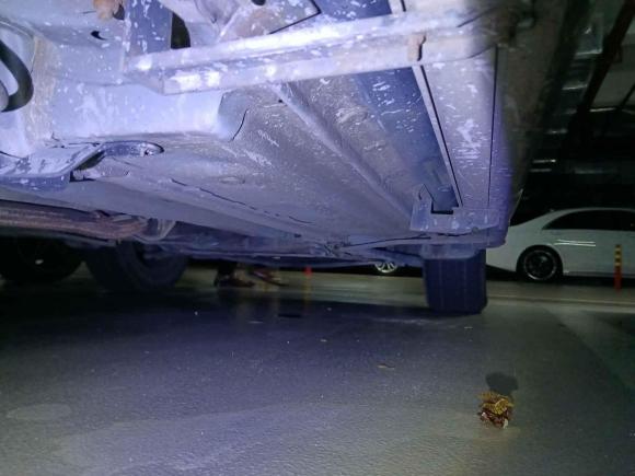 [深圳·粤L] 二手海马海马S52016款 1.5T CVT创享版