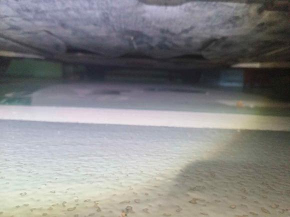 [深圳·粤B] 二手奥迪奥迪A6L2011款 2.0 TFSI 自动标准型