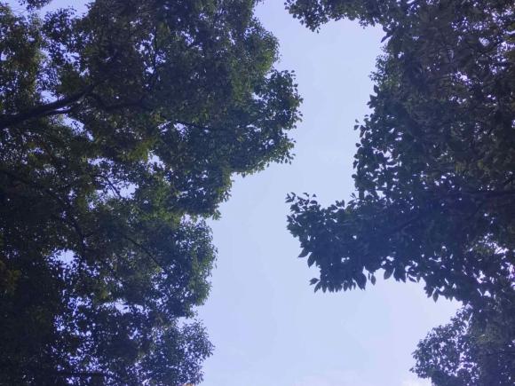 [上海·沪A] 二手斯柯达昊锐2009款 1.8TSI 自动贵雅版