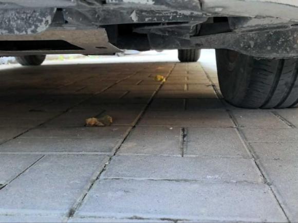 [北京·京N] 二手斯柯达明锐2016款 1.6L 自动前行版