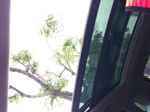 [上海·沪A] 二手荣威荣威RX5新能源2017款 eRX5 50T 混动互联尊荣旗舰版