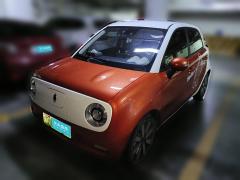 [温州·浙C] 欧拉欧拉黑猫2021款 351km 豪华型