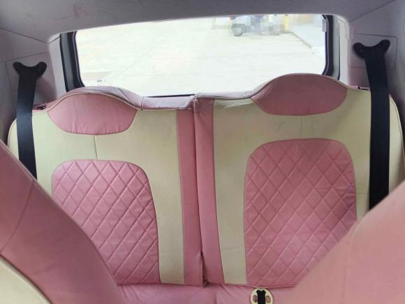 [合肥·皖A] 二手奇瑞新能源QQ冰淇淋2022款 170km 圣代 磷酸铁锂