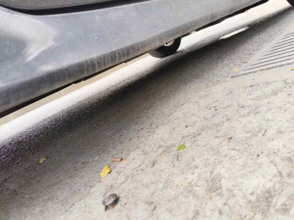 [杭州·浙A] 二手马自达睿翼2011款 2.0L 自动精英版