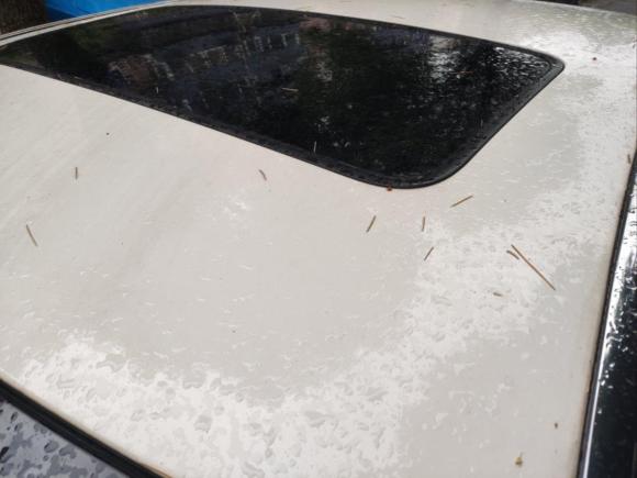 [上海·沪H] 二手荣威荣威e5502016款 旗舰版