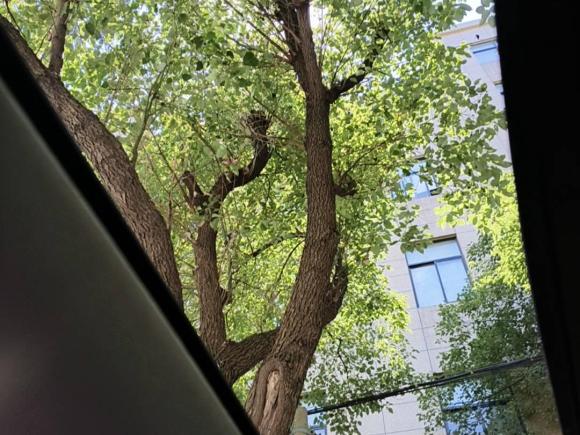 [嘉兴·粤L] 二手长安长安CS75 PLUS2020款 1.5T 自动豪华型