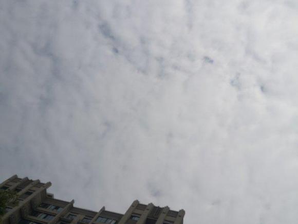 [上海·沪A] 二手丰田卡罗拉2011款 1.8L CVT GL-i