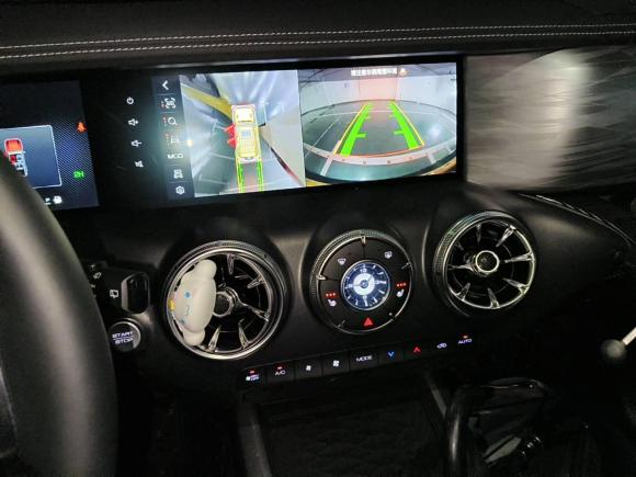 [上海·沪E] 二手坦克坦克3002022款 2.0T 边境限定版