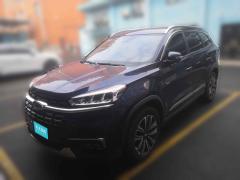 [常州·苏D] 奇瑞瑞虎82019款 1.6TGDI 自动精英型