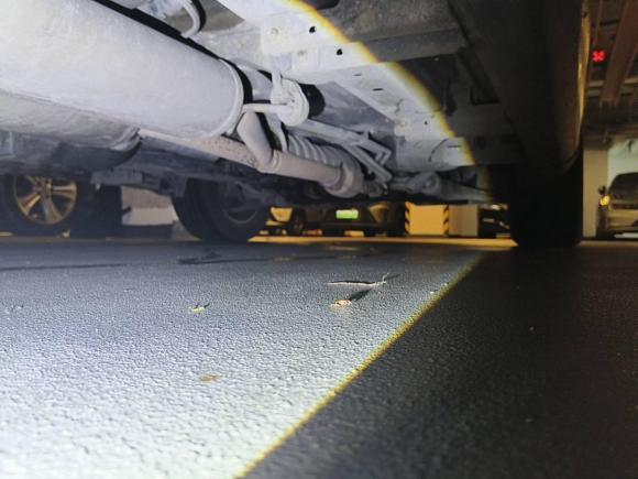 [深圳·粤B] 二手讴歌讴歌MDX2010款 3.7 标准版