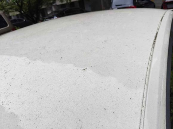 [宁波·浙B] 二手大众捷达2015款 1.6L 手动时尚型