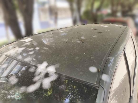 [西安·陕A] 二手本田奥德赛2009款 2.4L 舒适版