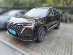 [合肥·皖A] 奇瑞瑞虎8 PRO2024款 冠军版 290T 两驱巅峰版 5座