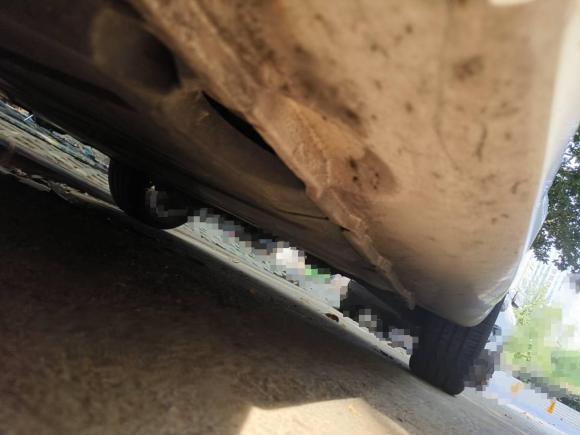 [武汉·鄂A] 二手smartsmart fortwo2012款 1.0 MHD 硬顶舒适版