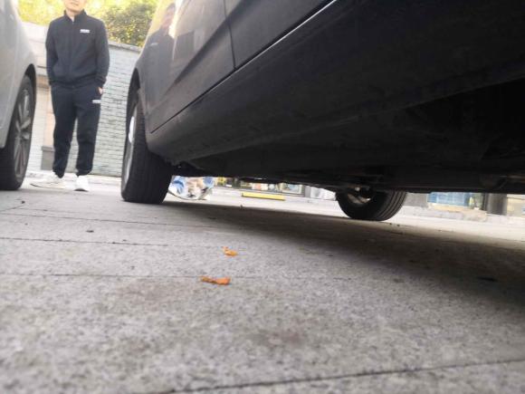 [杭州·浙F] 二手比亚迪比亚迪F32018款 1.5L 手动精英型