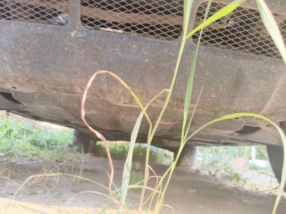 [金华·浙G] 二手三菱帕杰罗2016款 3.0L 自动尊贵版 国V