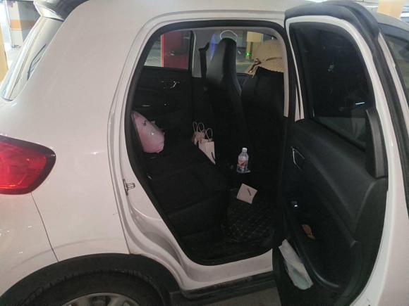 [南京·苏A] 二手零跑汽车零跑T032022款 星钻版