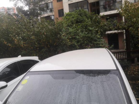 [苏州·苏E] 二手长安凯程长安欧尚A600EV2019款 EV