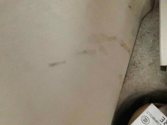 [北京·京Q] 二手日产阳光2015款 1.5XE CVT舒适版