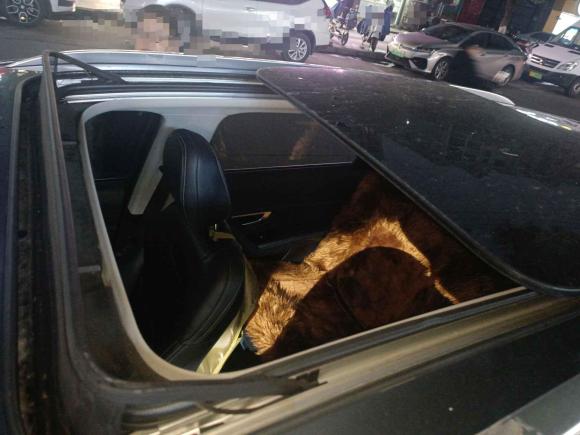 [苏州·苏U] 二手比亚迪宋Pro2019款 1.5T 自动精英型