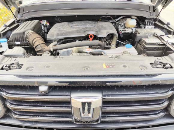 [武汉·鄂A] 二手坦克坦克3002023款 越野版 2.0T 征服者