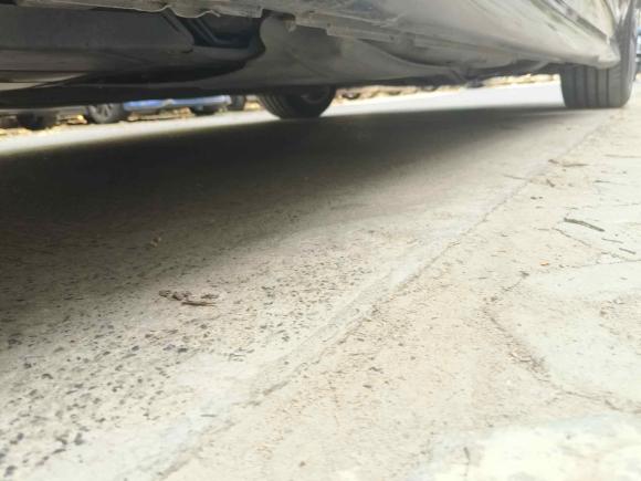 [上海·沪B] 二手别克君威2017款 GS 28T 尊贵型