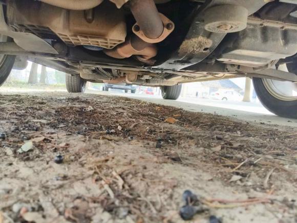 [苏州·苏E] 二手道奇酷威2009款 2.7