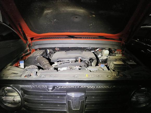 [宁波·浙D] 二手坦克坦克3002023款 越野版 2.0T 征服者