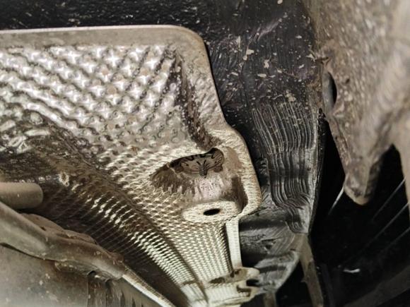 [西安·陕U] 二手大众揽巡2023款 330TSI 豪华巡逸版