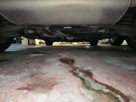 [嘉兴·浙F] 二手福特福克斯2012款 两厢 1.6L 自动舒适型
