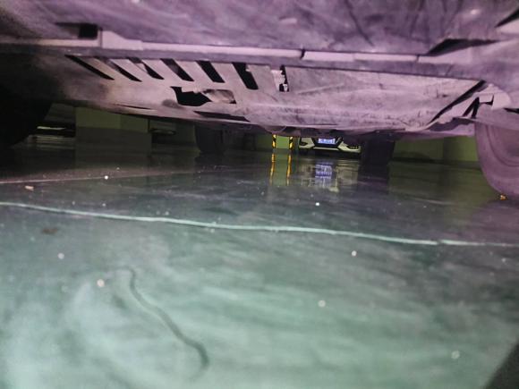 [深圳·粤B] 二手雪铁龙雪铁龙C4L2013款 1.6THP 自动劲享版