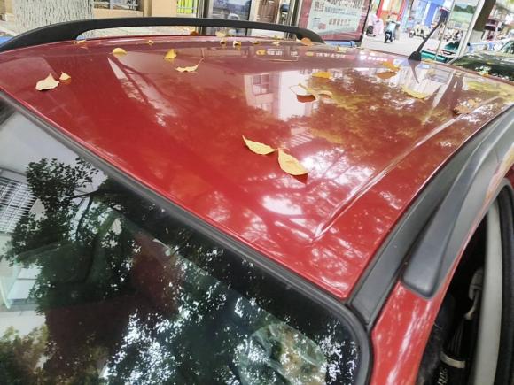 [常州·苏D] 二手铃木天语 SX42011款 改款 1.6L 自动灵动型