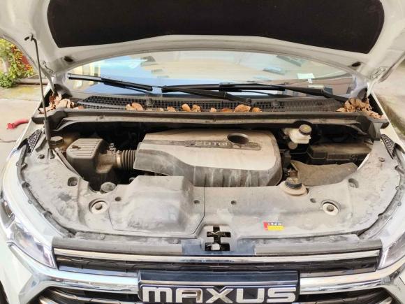 [温州·浙C] 二手上汽大通MAXUS大通G202021款 PLUS 2.0T 汽油自动尊享版