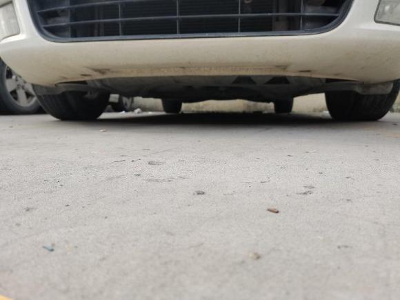 [温州·浙C] 二手斯柯达明锐2010款 1.4TSI GreenLine