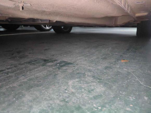 [武汉·鄂J] 二手福特嘉年华2009款 两厢 1.5L 自动运动型