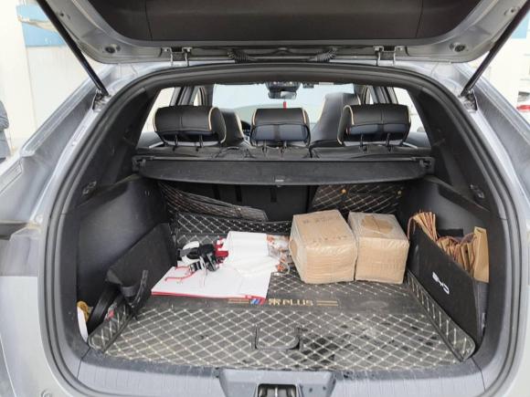 [上海·沪A] 二手比亚迪宋PLUS新能源2021款 EV 尊贵型