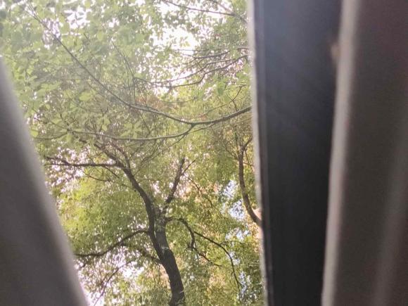 [杭州·浙F] 二手标致标致30082016款 1.6THP 自动经典版